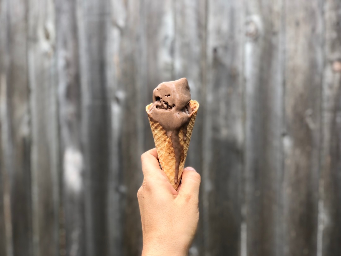 two scoops of chocolate mustard ice cream on a cone, melting quickly, held in front of a backyard fence